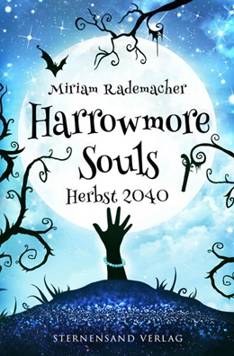 Abbildung von Rademacher | Harrowmore Souls (Band 4): Herbst 2040 | 1. Auflage | 2022 | beck-shop.de
