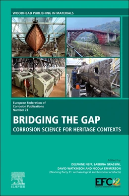 Abbildung von Grassini / Watkinson | Bridging the Gap | 1. Auflage | 2025 | beck-shop.de
