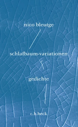 Abbildung von Bleutge, Nico | schlafbaum-variationen | 1. Auflage | 2023 | beck-shop.de