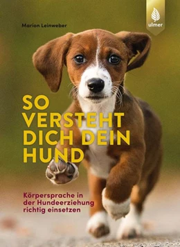 Abbildung von Leinweber | So versteht dich dein Hund | 1. Auflage | 2022 | beck-shop.de