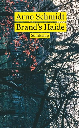 Abbildung von Schmidt | Brand’s Haide | 1. Auflage | 2023 | beck-shop.de