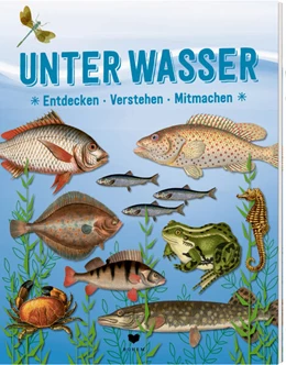 Abbildung von Roots | UNTER WASSER | 1. Auflage | 2023 | beck-shop.de