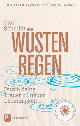 Abbildung von Schmidt | Wüstenregen | 1. Auflage | 2023 | beck-shop.de