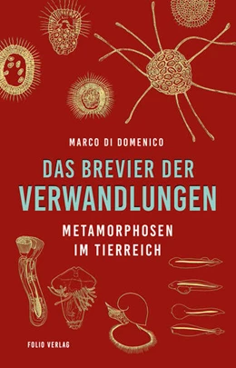 Abbildung von Domenico | Das Brevier der Verwandlungen | 1. Auflage | 2023 | beck-shop.de