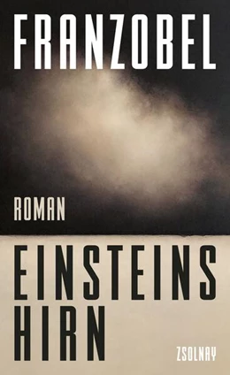 Abbildung von Franzobel | Einsteins Hirn | 1. Auflage | 2023 | beck-shop.de