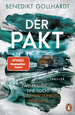 Abbildung von Gollhardt | Der Pakt - Zwei Frauen. Eine Flucht. Und ein dunkles Geheimnis. | 1. Auflage | 2023 | beck-shop.de