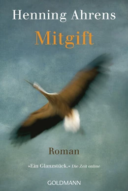 Abbildung von Ahrens | Mitgift | 1. Auflage | 2023 | beck-shop.de