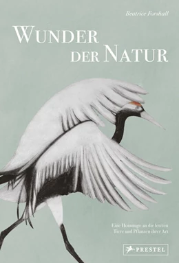 Abbildung von Forshall | Wunder der Natur | 1. Auflage | 2023 | beck-shop.de