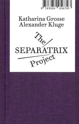 Abbildung von Elmiger / Zeiske | The Separatrix Project | 1. Auflage | 2022 | beck-shop.de