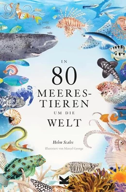 Abbildung von Scales | In 80 Meerestieren um die Welt | 1. Auflage | 2023 | beck-shop.de