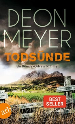 Abbildung von Meyer | Todsünde | 1. Auflage | 2023 | beck-shop.de