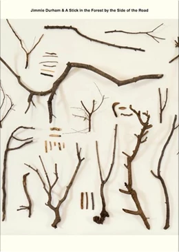 Abbildung von Chambers | Jimmie Durham & A Stick in the Forest by the Side of the Road Series (vol.1-12) | 1. Auflage | 2022 | beck-shop.de