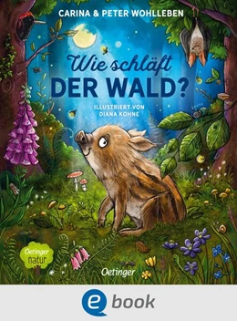 Abbildung von Wohlleben | Wie schläft der Wald? | 1. Auflage | 2023 | beck-shop.de