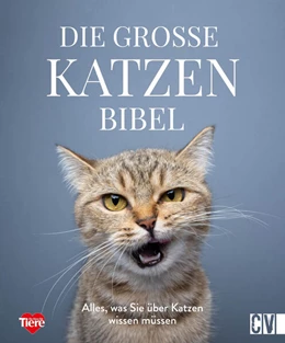 Abbildung von Die große Katzenbibel | 1. Auflage | 2023 | beck-shop.de