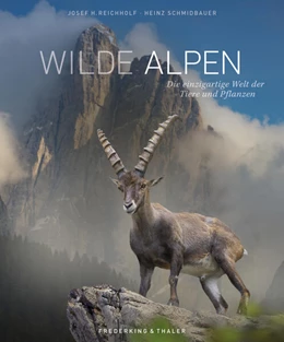 Abbildung von Reichholf | Wilde Alpen | 1. Auflage | 2024 | beck-shop.de
