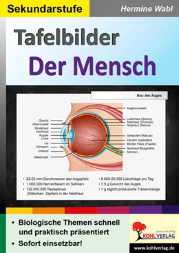 Abbildung von Wabl | Lernmodul 1: Der Mensch / Tafelbilder | 1. Auflage | 2022 | beck-shop.de