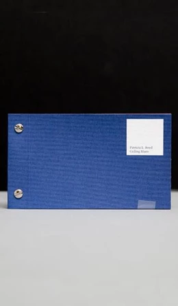 Abbildung von Secession | PATRICIA L. BOYD. CEILING BLUES | 1. Auflage | 2022 | beck-shop.de