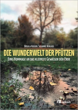 Abbildung von Kosser / Bergius | Die Wunderwelt der Pfützen | 1. Auflage | 2023 | beck-shop.de