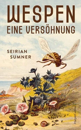 Abbildung von Sumner | Wespen. Eine Versöhnung | 1. Auflage | 2023 | beck-shop.de