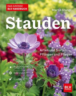 Abbildung von Stangl | Das BLV Handbuch Stauden | 1. Auflage | 2023 | beck-shop.de