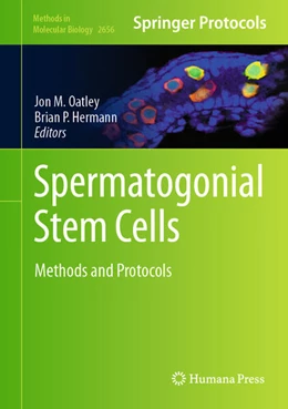 Abbildung von M. Oatley / Hermann | Spermatogonial Stem Cells | 1. Auflage | 2023 | 2656 | beck-shop.de