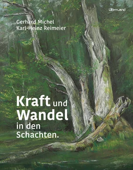Abbildung von Michel | Kraft und Wandel in den Schachten | 1. Auflage | 2023 | beck-shop.de