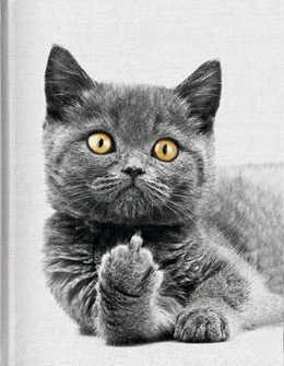 Abbildung von Cat - Blankbook | 1. Auflage | 2023 | beck-shop.de