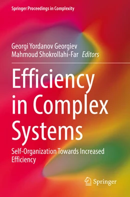 Abbildung von Georgiev / Shokrollahi-Far | Efficiency in Complex Systems | 1. Auflage | 2023 | beck-shop.de