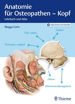 Abbildung von Corts | Anatomie für Osteopathen - Kopf | 1. Auflage | 2023 | beck-shop.de