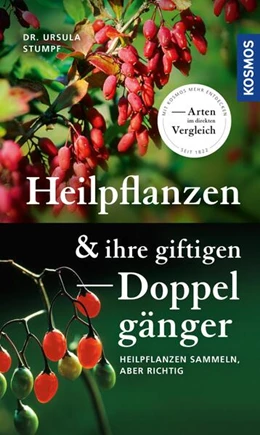 Abbildung von Stumpf | Heilpflanzen und ihre giftigen Doppelgänger | 1. Auflage | 2023 | beck-shop.de