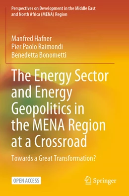 Abbildung von Hafner / Raimondi | The Energy Sector and Energy Geopolitics in the MENA Region at a Crossroad | 1. Auflage | 2023 | beck-shop.de