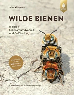 Abbildung von Wiesbauer | Wilde Bienen | 3. Auflage | 2023 | beck-shop.de