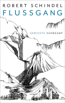 Abbildung von Schindel | Flussgang | 1. Auflage | 2023 | beck-shop.de