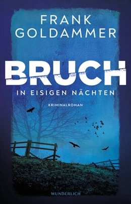 Abbildung von Goldammer | Bruch: In eisigen Nächten | 1. Auflage | 2023 | beck-shop.de