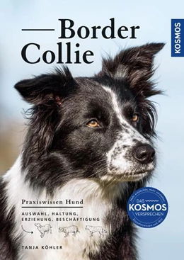 Abbildung von Köhler | Border Collie | 1. Auflage | 2023 | beck-shop.de