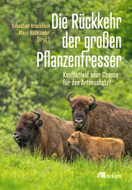 Abbildung von Brackhane / Hackländer | Die Rückkehr der großen Pflanzenfresser | 1. Auflage | 2025 | beck-shop.de