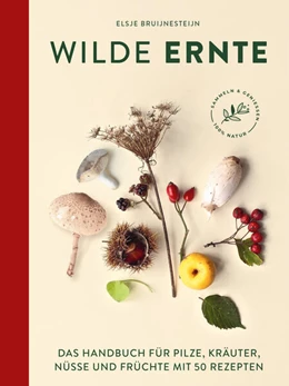 Abbildung von Bruijnesteijn | Wilde Ernte | 1. Auflage | 2023 | beck-shop.de