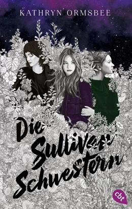 Abbildung von Ormsbee | Die Sullivan-Schwestern | 1. Auflage | 2023 | beck-shop.de