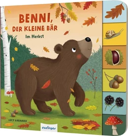Abbildung von Kiel | Mein erstes Jahreszeitenbuch: Benni, der kleine Bär | 1. Auflage | 2023 | beck-shop.de