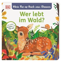 Abbildung von Grimm / DK Verlag - Kids | Mein Pop-up-Buch zum Staunen. Wer lebt im Wald? | 1. Auflage | 2023 | beck-shop.de