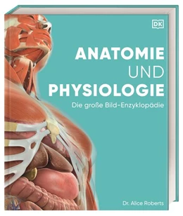 Abbildung von DK Verlag / Roberts | Anatomie und Physiologie | 1. Auflage | 2023 | beck-shop.de