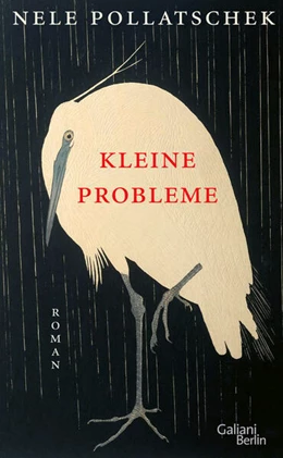 Abbildung von Pollatschek | Kleine Probleme | 1. Auflage | 2023 | beck-shop.de