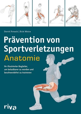 Abbildung von Potach / Meira | Prävention von Sportverletzungen – Anatomie | 1. Auflage | 2023 | beck-shop.de