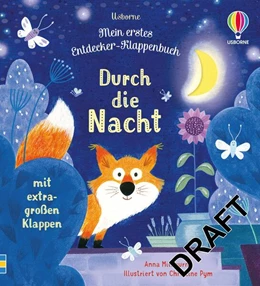 Abbildung von Milbourne | Mein erstes Entdecker-Klappenbuch: Durch die Nacht | 1. Auflage | 2023 | beck-shop.de