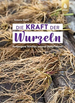 Abbildung von Detto | Die Kraft der Wurzeln | 2. Auflage | 2023 | beck-shop.de