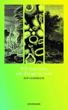 Abbildung von Schalansky | Wir sind hier, um Zeuge zu sein | 1. Auflage | 2023 | beck-shop.de