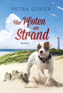 Abbildung von Schier | Vier Pfoten am Strand | 1. Auflage | 2023 | beck-shop.de