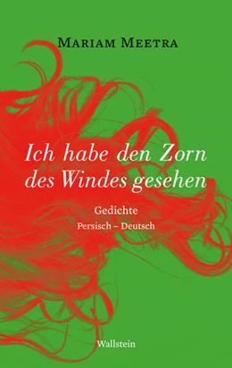 Abbildung von Meetra | Ich habe den Zorn des Windes gesehen | 1. Auflage | 2023 | beck-shop.de