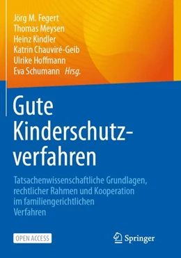 Abbildung von Fegert / Meysen | Gute Kinderschutzverfahren | 1. Auflage | 2024 | beck-shop.de