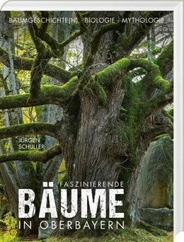 Abbildung von Schuller | Faszinierende Bäume in Oberbayern | 1. Auflage | 2023 | beck-shop.de